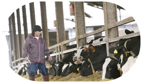 スタッフの画像