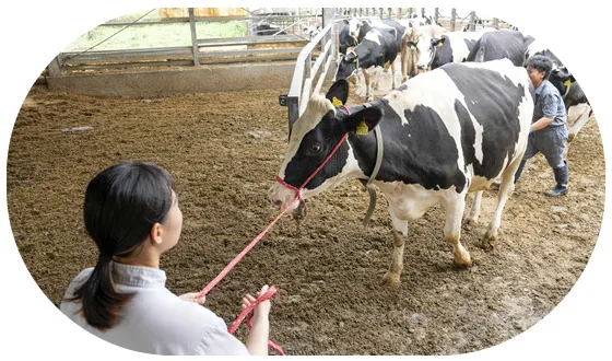 スタッフの画像