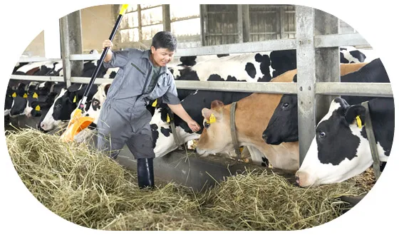 スタッフの画像