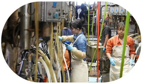 スタッフの画像