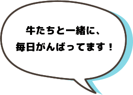 牛たちと一緒に、毎日頑張っています！